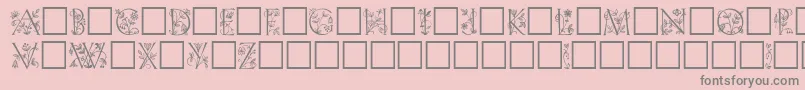 GabelFloribundi Font – Gray Fonts on Pink Background