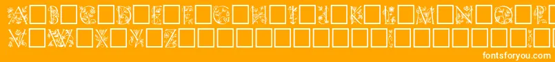 GabelFloribundi-Schriftart – Weiße Schriften auf orangefarbenem Hintergrund