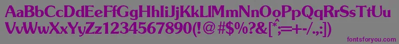 Шрифт SouldbNormal – фиолетовые шрифты на сером фоне