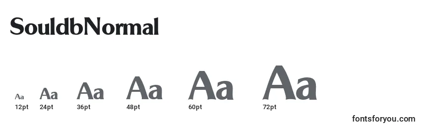 SouldbNormal Font Sizes