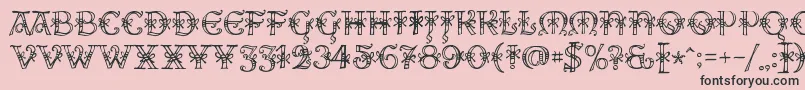 AlesHegarR18 Font – Black Fonts on Pink Background