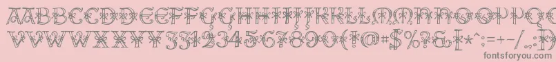 AlesHegarR18 Font – Gray Fonts on Pink Background