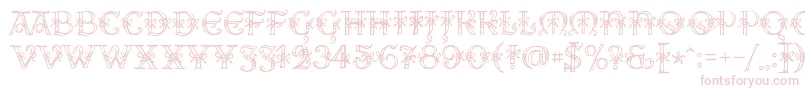 AlesHegarR18 Font – Pink Fonts on White Background