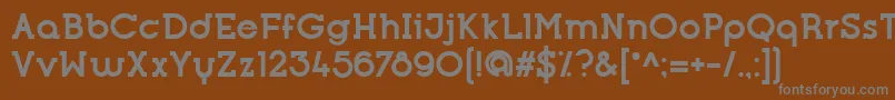 フォントOpificioSerifBold – 茶色の背景に灰色の文字