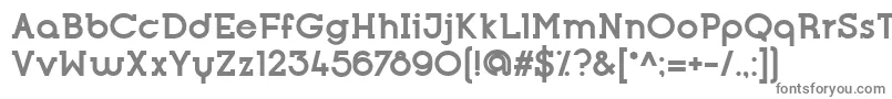 フォントOpificioSerifBold – 白い背景に灰色の文字