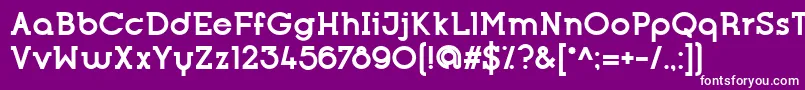 OpificioSerifBold Font – White Fonts on Purple Background