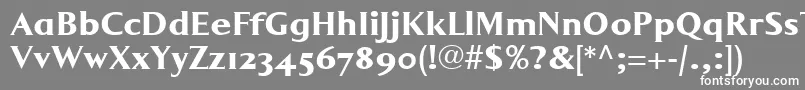 LumarcllBold Font – White Fonts on Gray Background