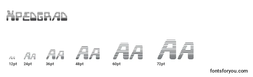 Xpedgrad Font Sizes