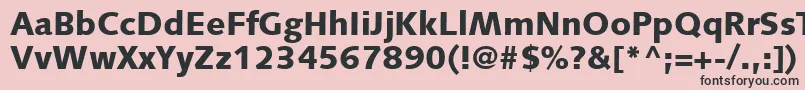 SyntaxLtBlack Font – Black Fonts on Pink Background