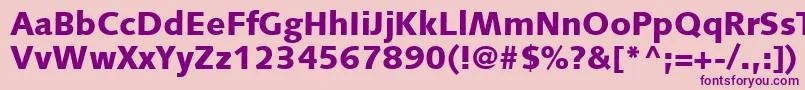 SyntaxLtBlack Font – Purple Fonts on Pink Background