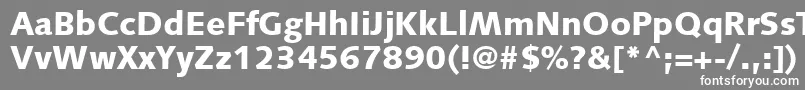 SyntaxLtBlack Font – White Fonts on Gray Background