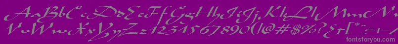 AladdinexpandedItalic-Schriftart – Graue Schriften auf violettem Hintergrund