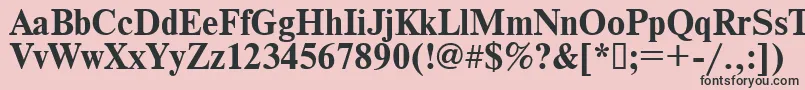 Times.KzBold Font – Black Fonts on Pink Background