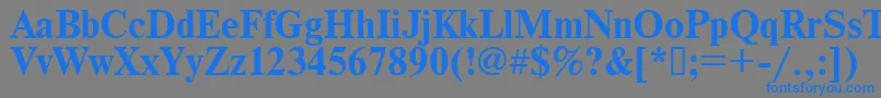 Times.KzBold Font – Blue Fonts on Gray Background