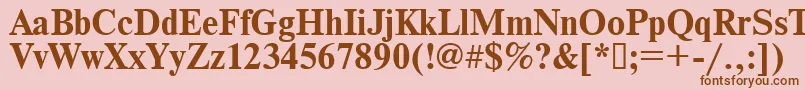 Times.KzBold Font – Brown Fonts on Pink Background