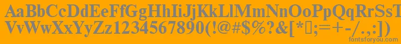 Times.KzBold Font – Gray Fonts on Orange Background