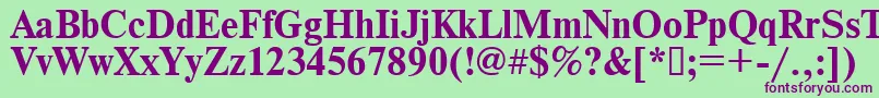 Times.KzBold Font – Purple Fonts on Green Background