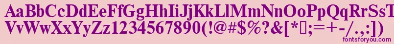 Times.KzBold Font – Purple Fonts on Pink Background