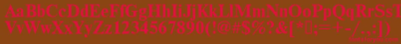 Times.KzBold Font – Red Fonts on Brown Background
