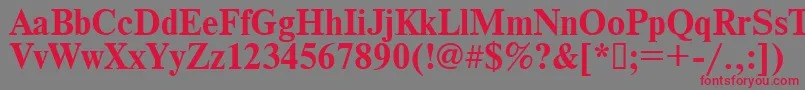 Times.KzBold Font – Red Fonts on Gray Background