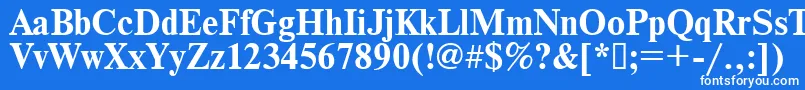 フォントTimes.KzBold – 青い背景に白い文字