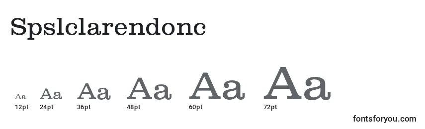 Размеры шрифта Spslclarendonc