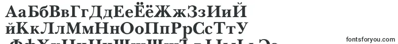 PasmacBold-fontti – venäjän fontit