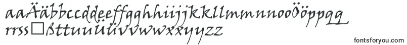 Шрифт VinerHandItc – немецкие шрифты