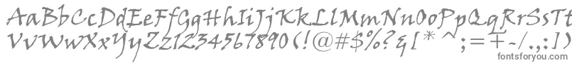 Шрифт VinerHandItc – серые шрифты на белом фоне