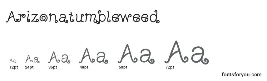 Arizonatumbleweed Font Sizes