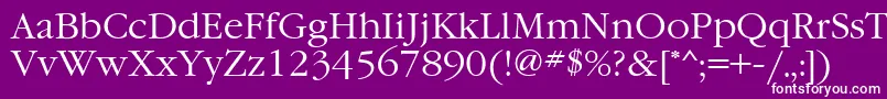 GaramondbttNormal Font – White Fonts on Purple Background