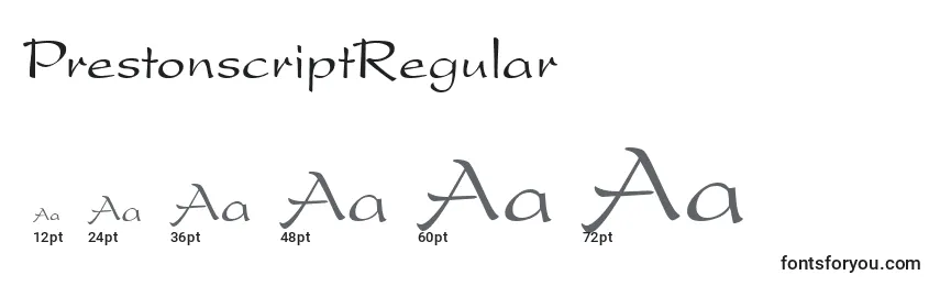 Размеры шрифта PrestonscriptRegular