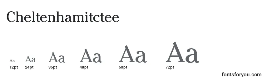 Размеры шрифта Cheltenhamitctee