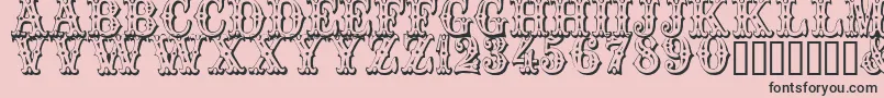 Trocadero Font – Black Fonts on Pink Background