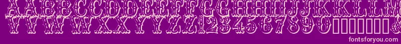 Trocadero Font – Pink Fonts on Purple Background