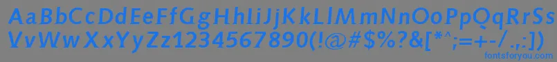 フォントAidaserifbold – 灰色の背景に青い文字