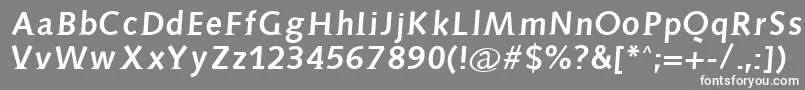 フォントAidaserifbold – 灰色の背景に白い文字