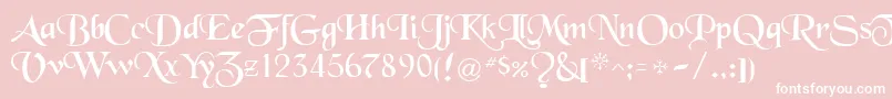 BlackRegular Font – White Fonts on Pink Background