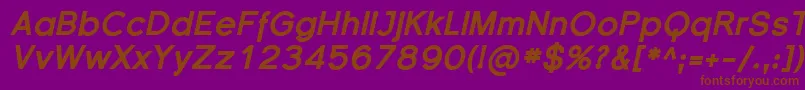 SfflorencesansblackItalic Font – Brown Fonts on Purple Background