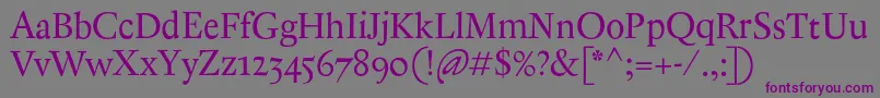 Шрифт AntiqueAncienne – фиолетовые шрифты на сером фоне