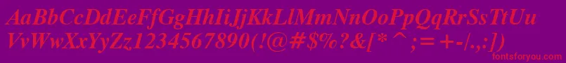 TiempoBoldItalic Font – Red Fonts on Purple Background