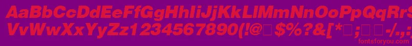 HelveticaBlackitalic Font – Red Fonts on Purple Background