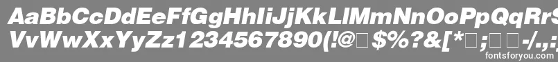 HelveticaBlackitalic-Schriftart – Weiße Schriften auf grauem Hintergrund