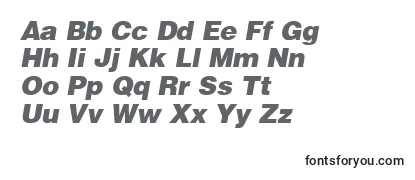 HelveticaBlackitalic-fontti