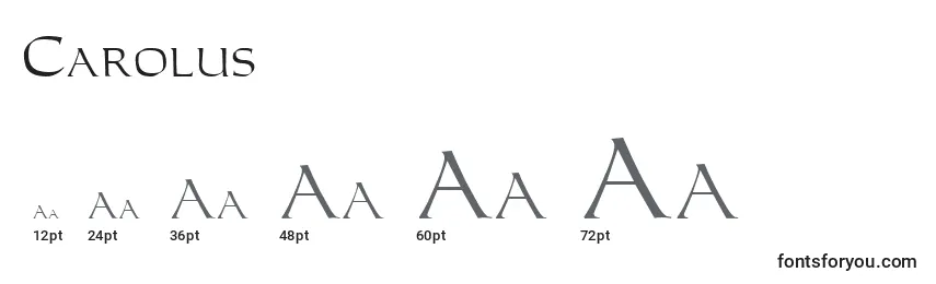 Размеры шрифта Carolus