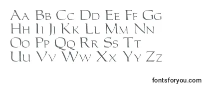 Обзор шрифта Carolus
