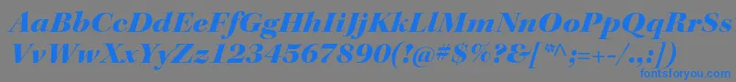 フォントKeplerstdBlackextitdisp – 灰色の背景に青い文字