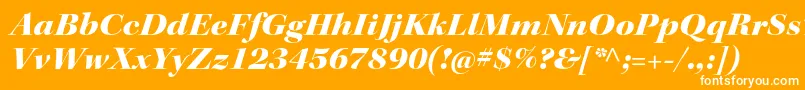 フォントKeplerstdBlackextitdisp – オレンジの背景に白い文字