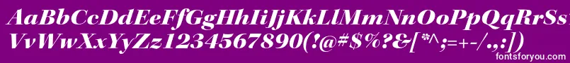 フォントKeplerstdBlackextitdisp – 紫の背景に白い文字