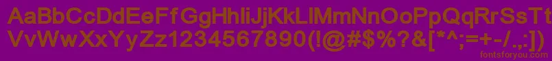 ErUniversKoi8Bold Font – Brown Fonts on Purple Background